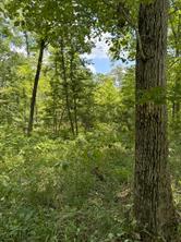 TBD County Road 3163 - Photo 30