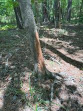 TBD County Road 3163 - Photo 31