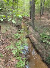 TBD County Road 3163 - Photo 32
