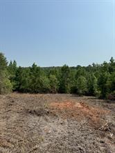 TBD County Road 3163 - Photo 35