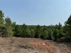 TBD County Road 3163 - Photo 36