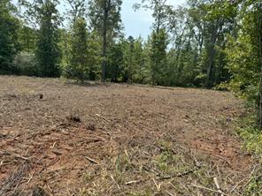TBD County Road 3163 - Photo 37