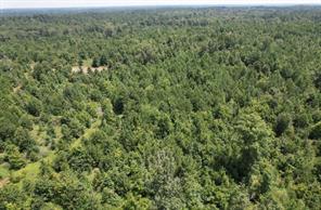 TBD County Road 3163 - Photo 4