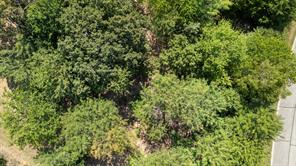 389 Roaring Fork Circle - Photo 11