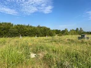 434 County Road 4445 - Photo 2