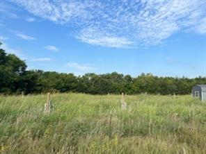 434 County Road 4445 - Photo 5
