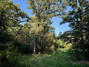 11040 County Road 1117 - Photo 10