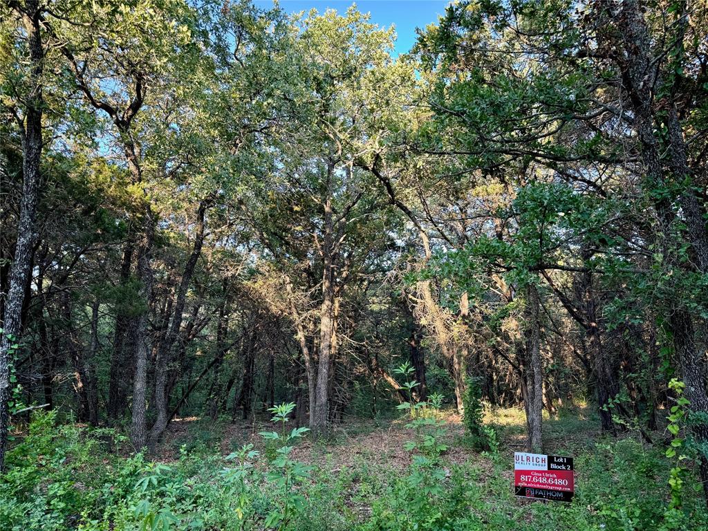 10500 County Road 1117 - Photo 1