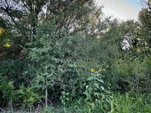 10601 County Road 1240 - Photo 4