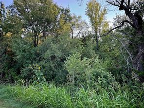 10641 County Road 1240 - Photo 2