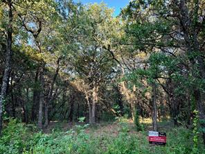 10641 County Road 1240 - Photo 5