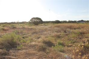TBD Us-83 - Photo 5