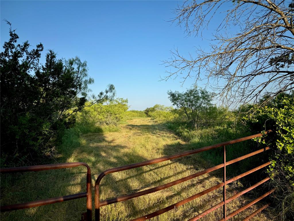 10640 County Road 1240 - Photo 1