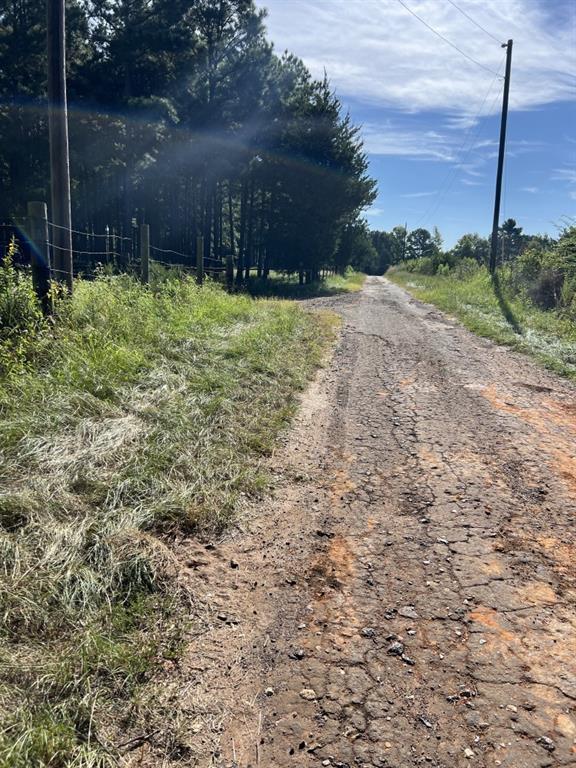 TBD County Road 168-1 - Photo 17