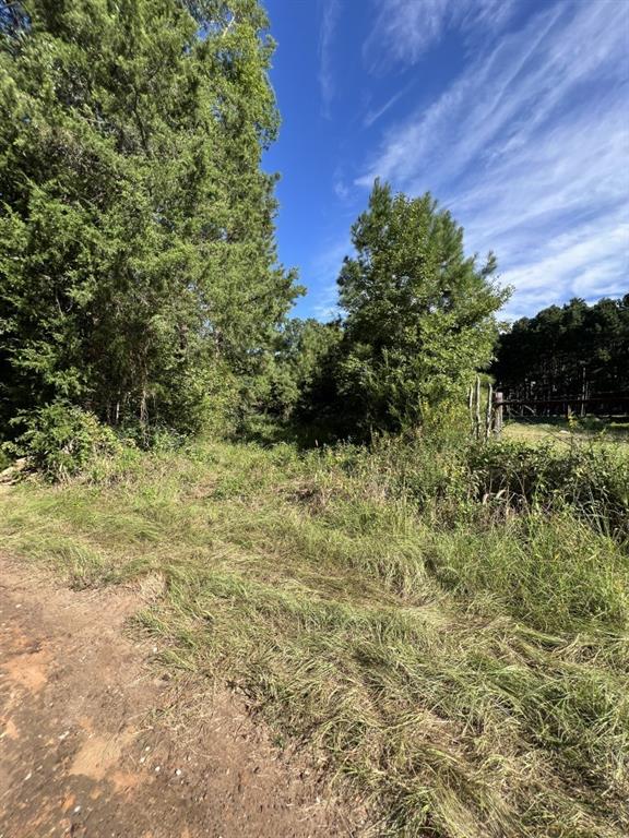TBD County Road 168-1 - Photo 18