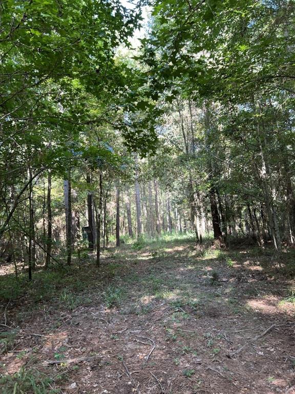 TBD County Road 168-1 - Photo 21