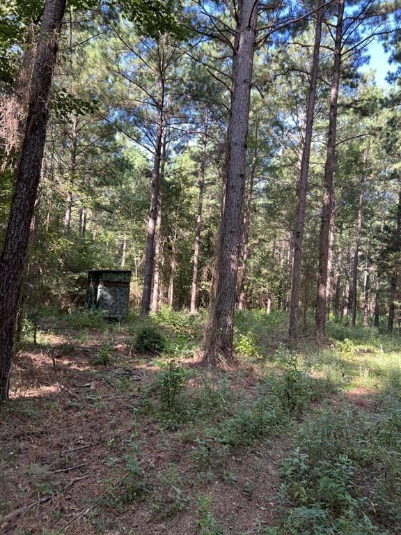 TBD County Road 168-1 - Photo 22