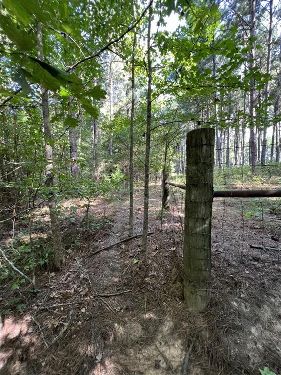 TBD County Road 168-1 - Photo 25