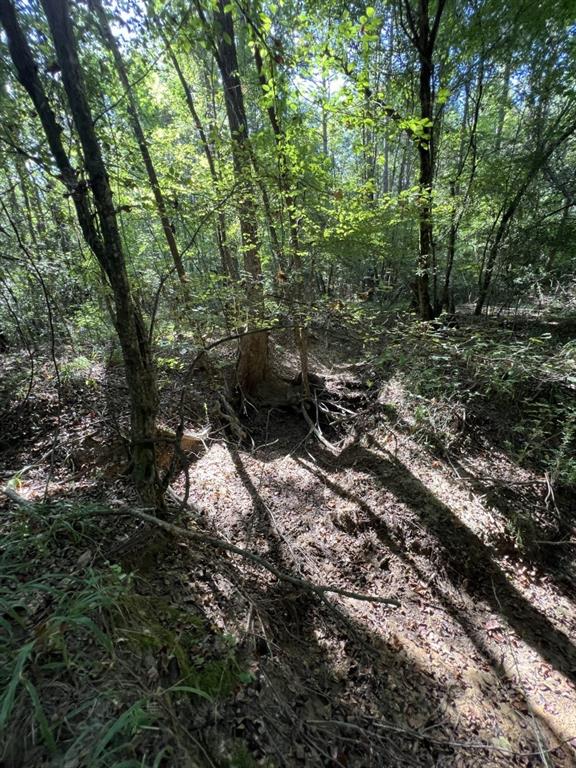 TBD County Road 168-1 - Photo 27
