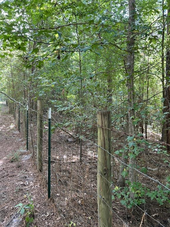 TBD County Road 168-1 - Photo 29
