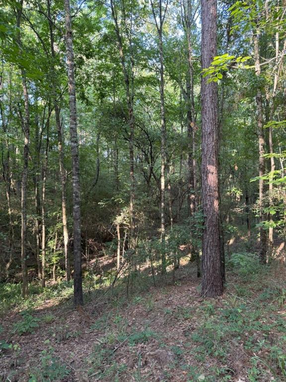 TBD County Road 168-1 - Photo 36