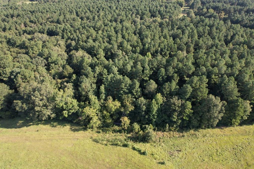 TBD County Road 168-1 - Photo 6