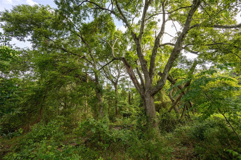 Tract 5 Hwy 155 - Photo 16