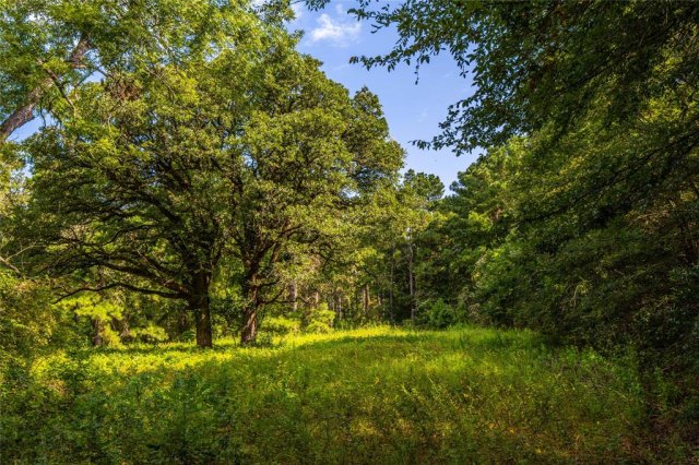 Tract 6 Hwy 155