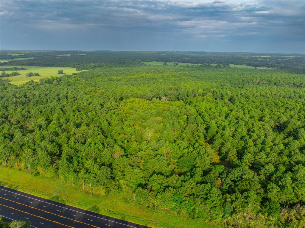 Tract 6 Hwy 155 - Photo 11