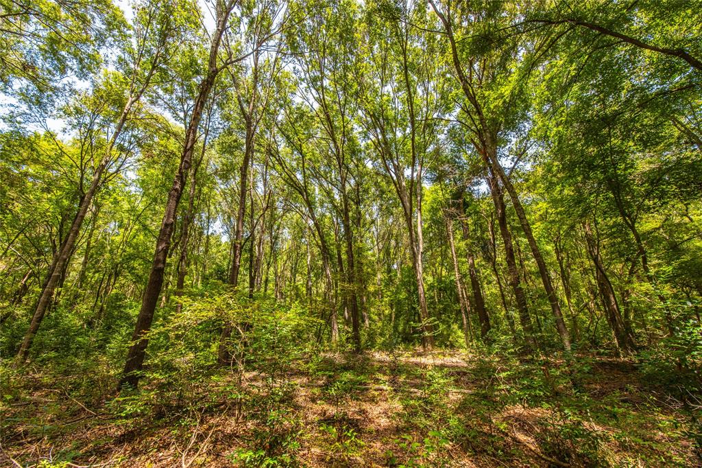 Tract 6 Hwy 155 - Photo 19