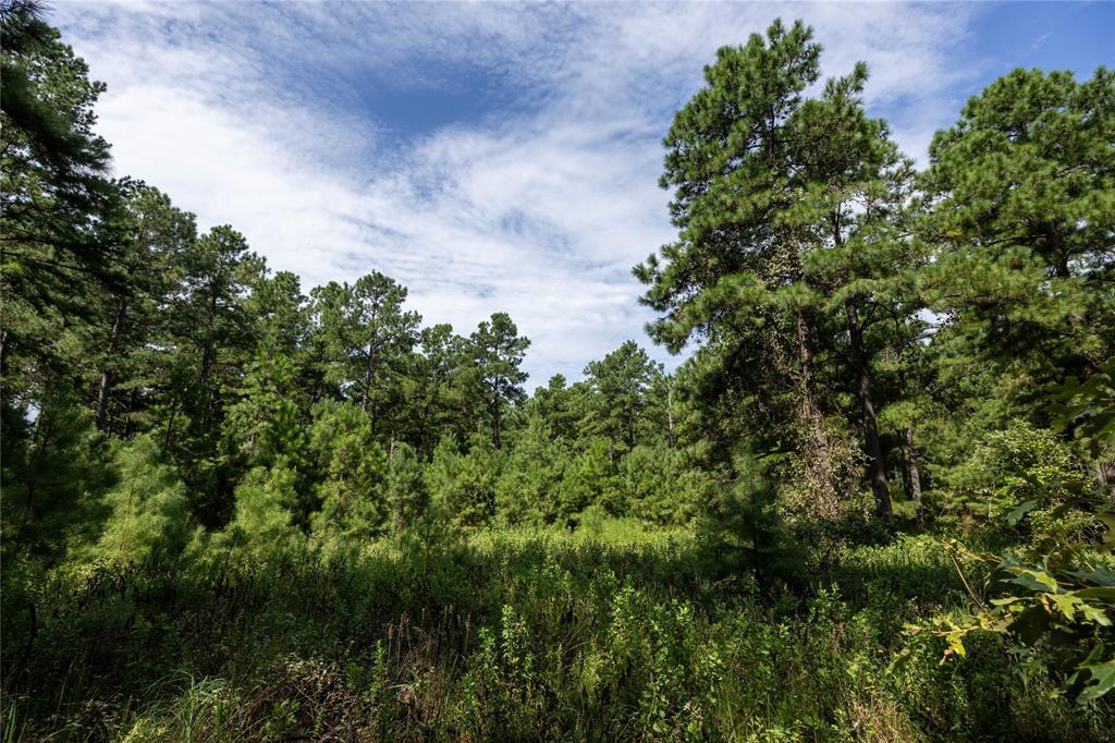 Tract 6 Hwy 155 - Photo 25