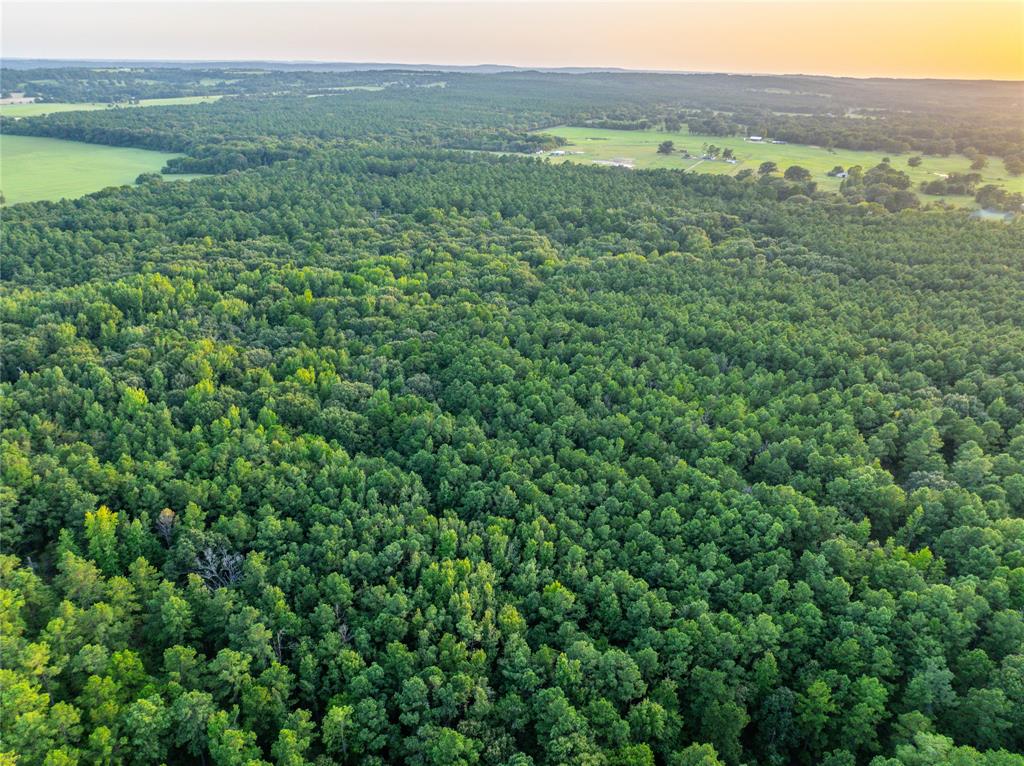 Tract 7 County Road 4221 - Photo 24