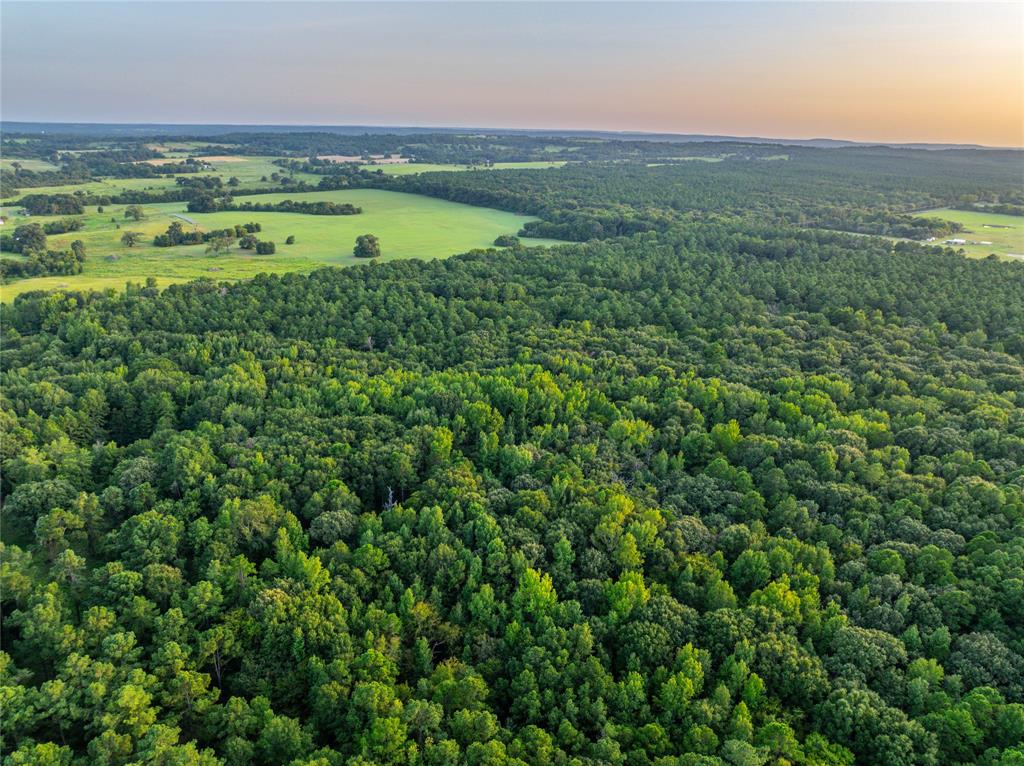 Tract 7 County Road 4221 - Photo 25