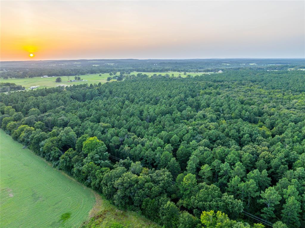 Tract 7 County Road 4221 - Photo 26