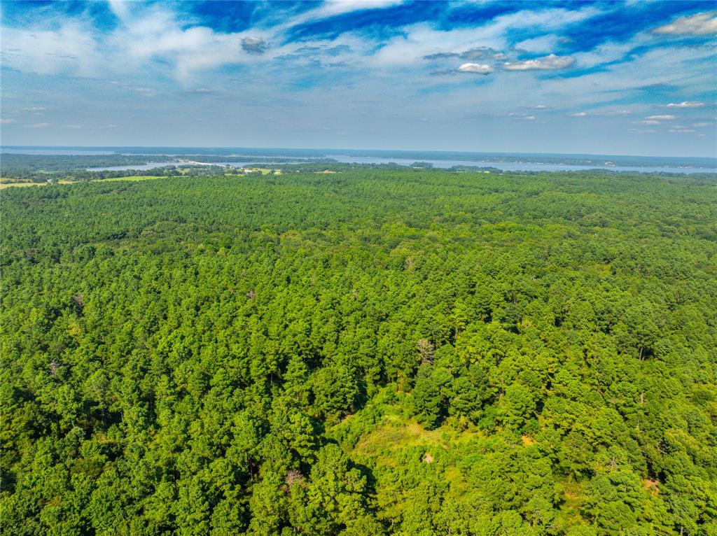 Tract 7 County Road 4221 - Photo 28