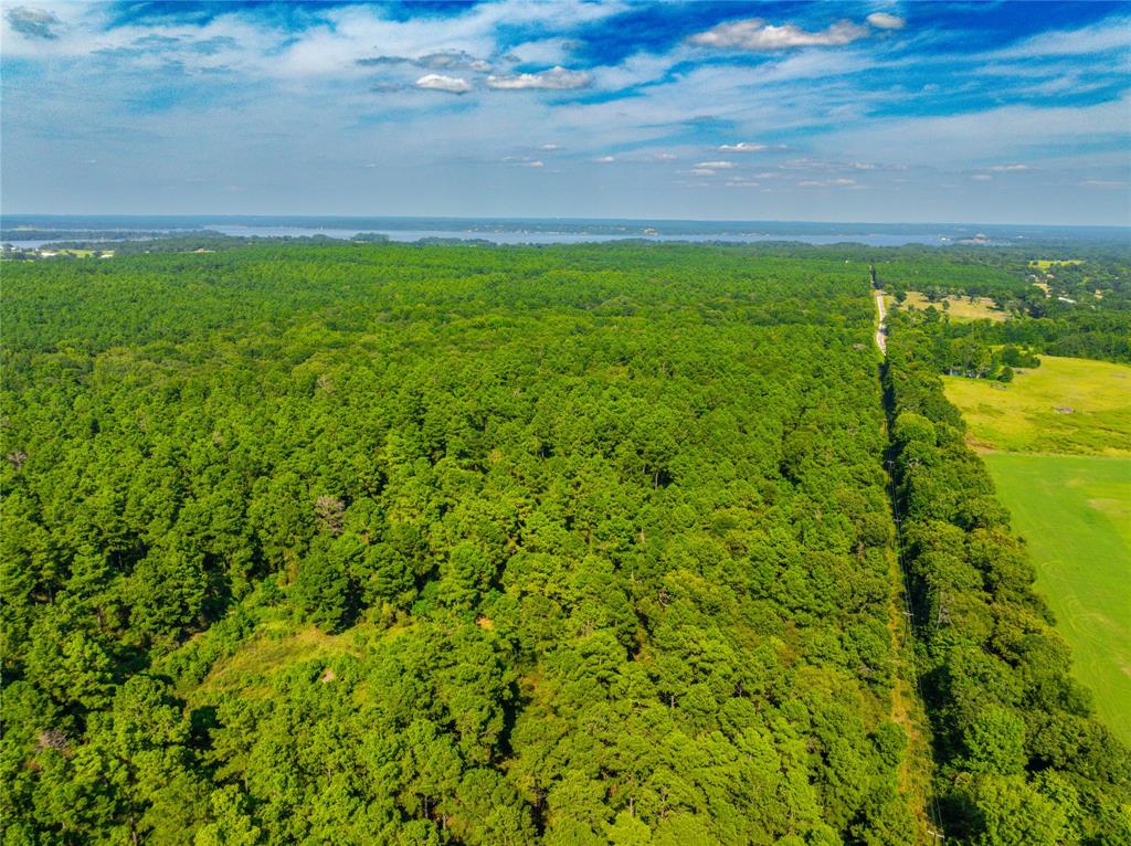 Tract 7 County Road 4221 - Photo 29