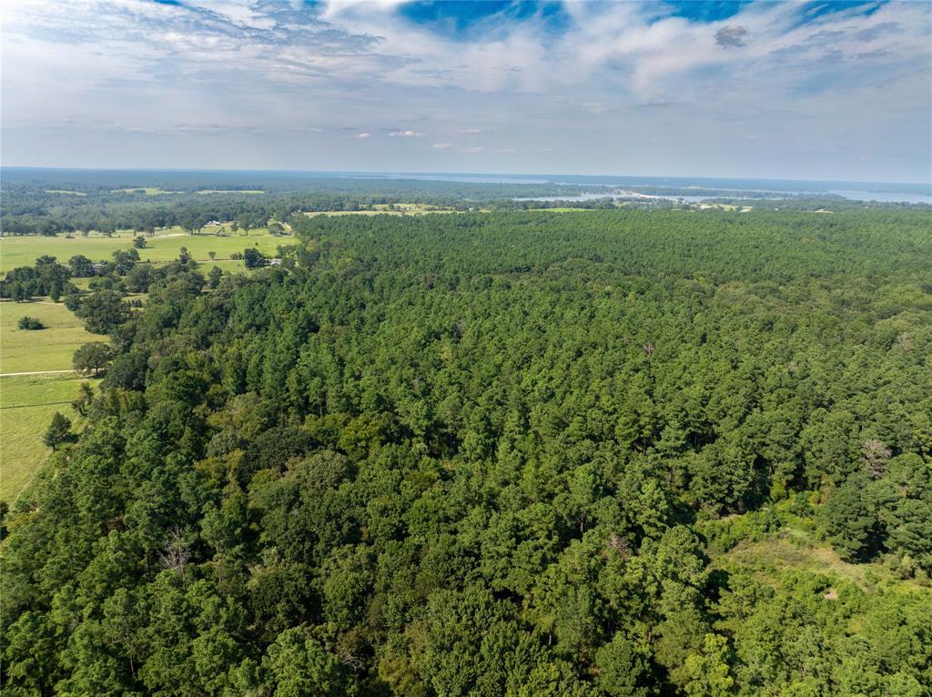 Tract 7 County Road 4221 - Photo 30
