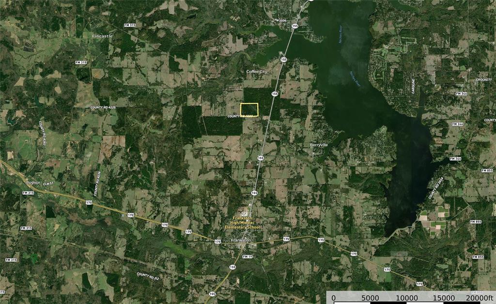 Tract 7 County Road 4221 - Photo 33