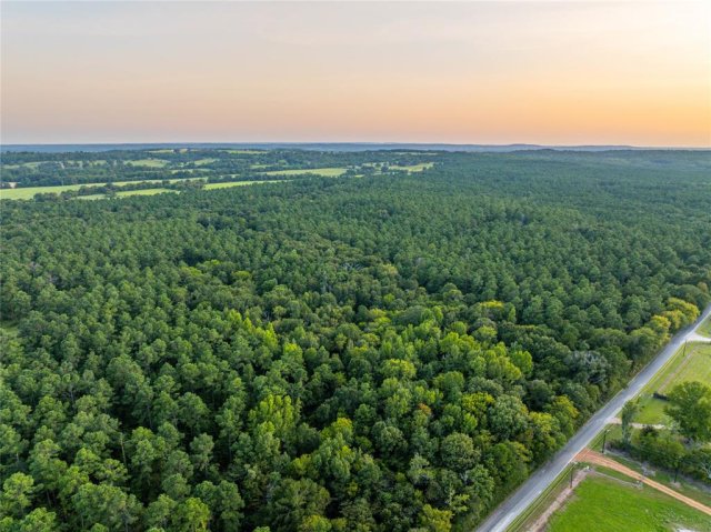 Tract 10 County Road 4222