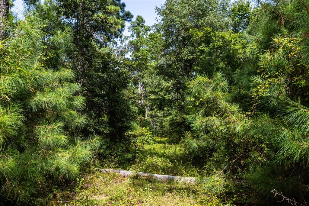 Tract 10 County Road 4222 - Photo 11