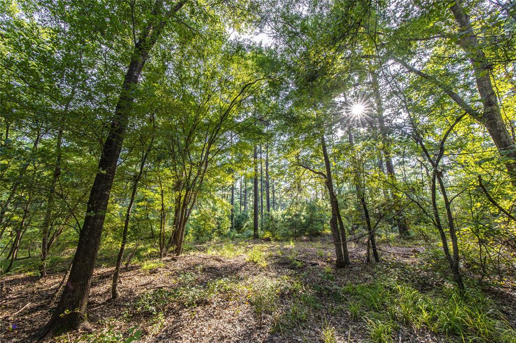 Tract 10 County Road 4222 - Photo 19