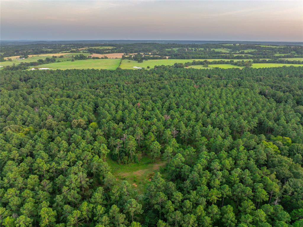 Tract 10 County Road 4222 - Photo 21