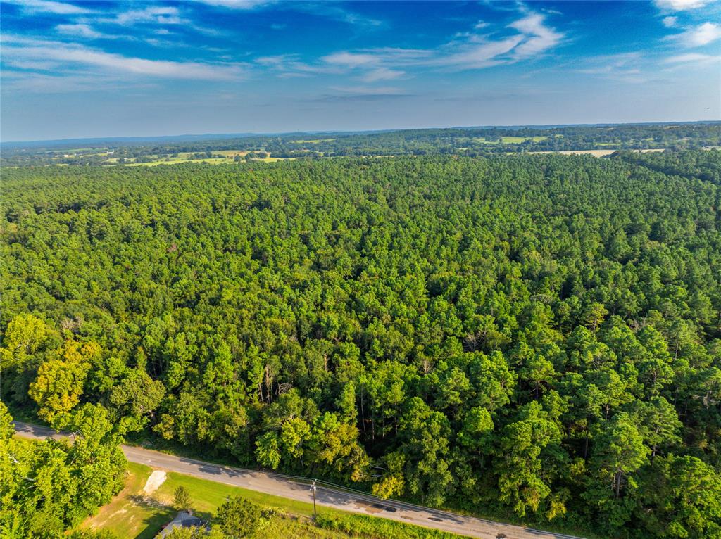 Tract 10 County Road 4222 - Photo 23