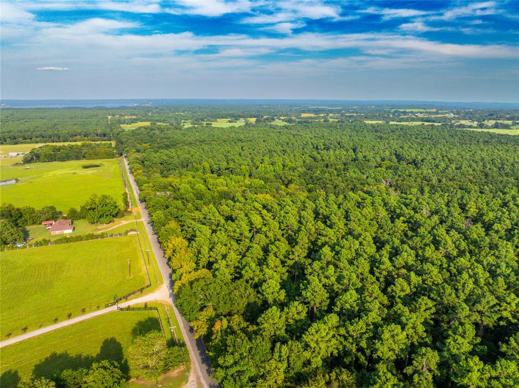 Tract 10 County Road 4222 - Photo 25