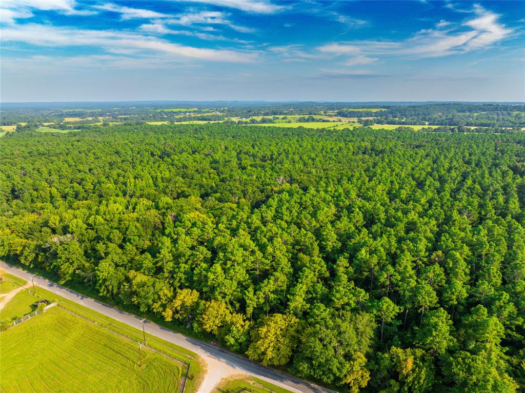 Tract 10 County Road 4222 - Photo 26