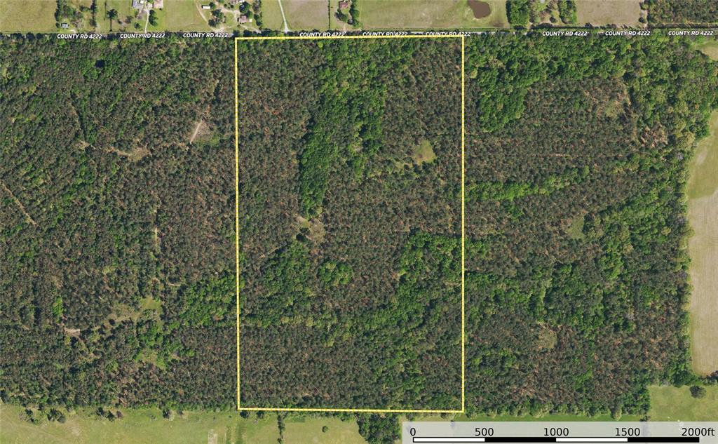 Tract 10 County Road 4222 - Photo 27