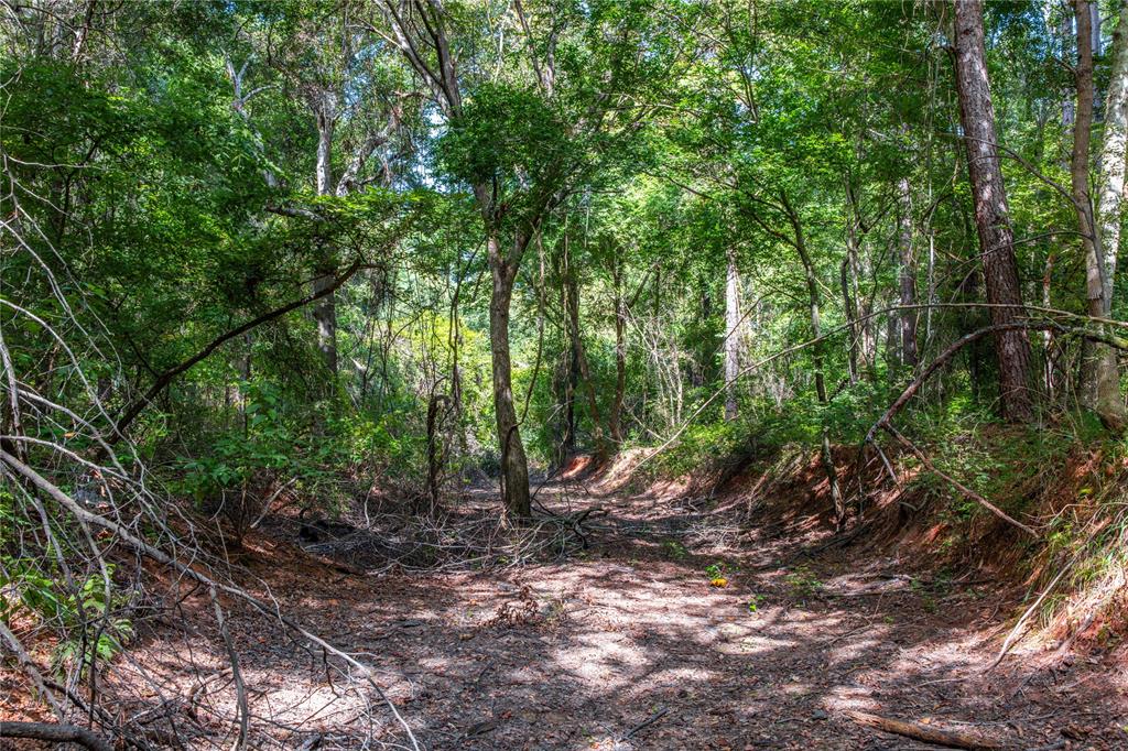 Tract 10 County Road 4222 - Photo 4