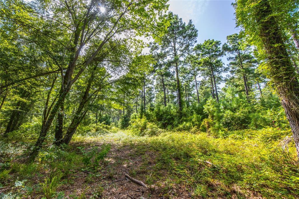 Tract 10 County Road 4222 - Photo 8