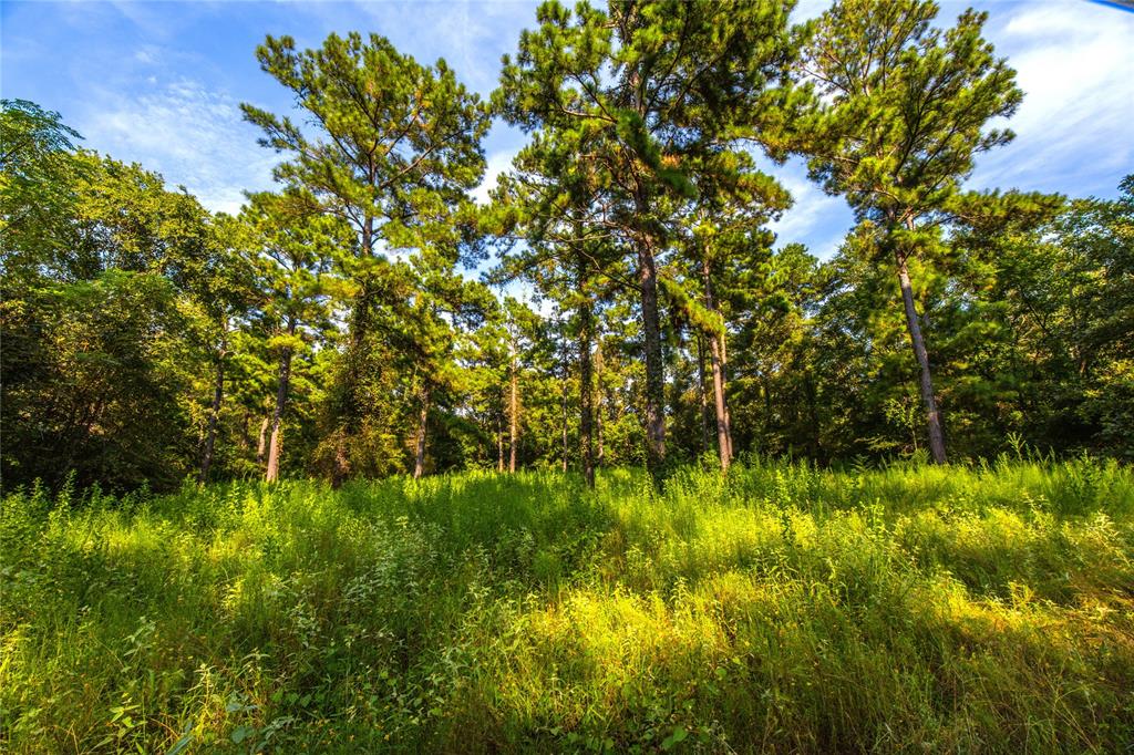 Tract 11 County Road 4222 - Photo 1
