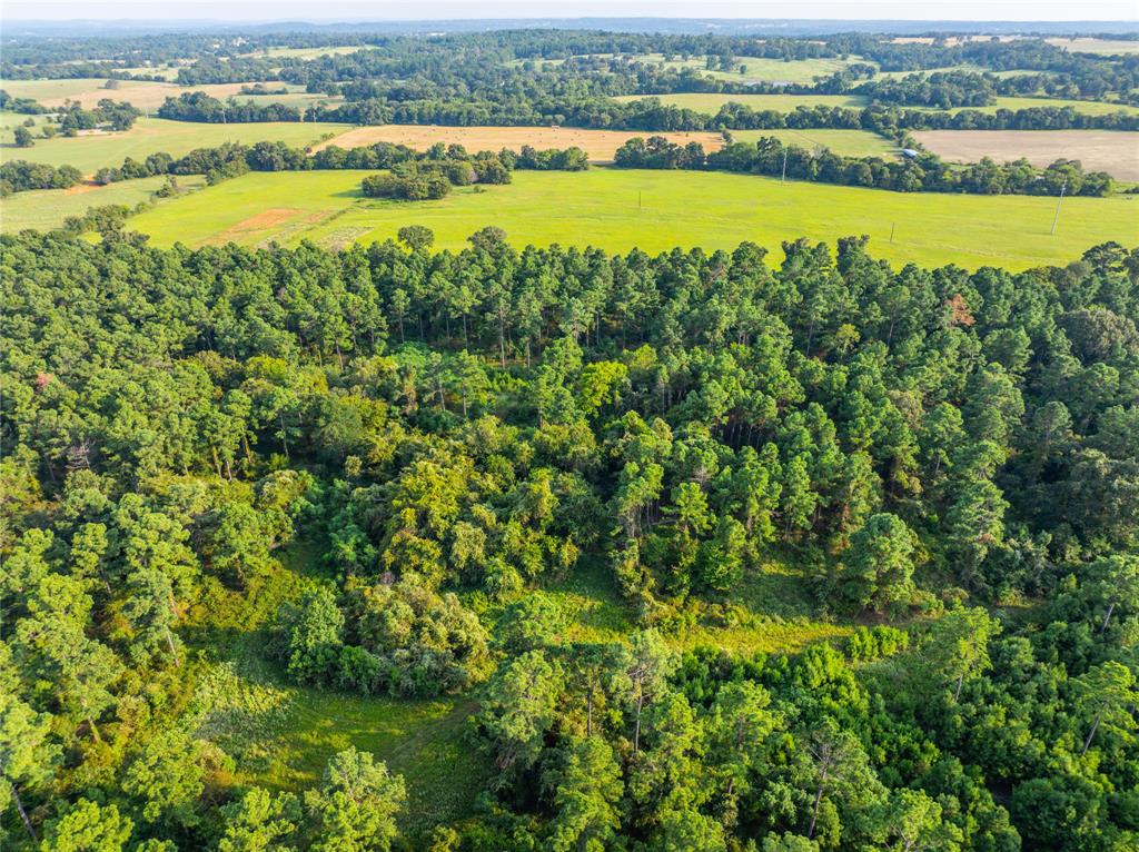 Tract 11 County Road 4222 - Photo 19